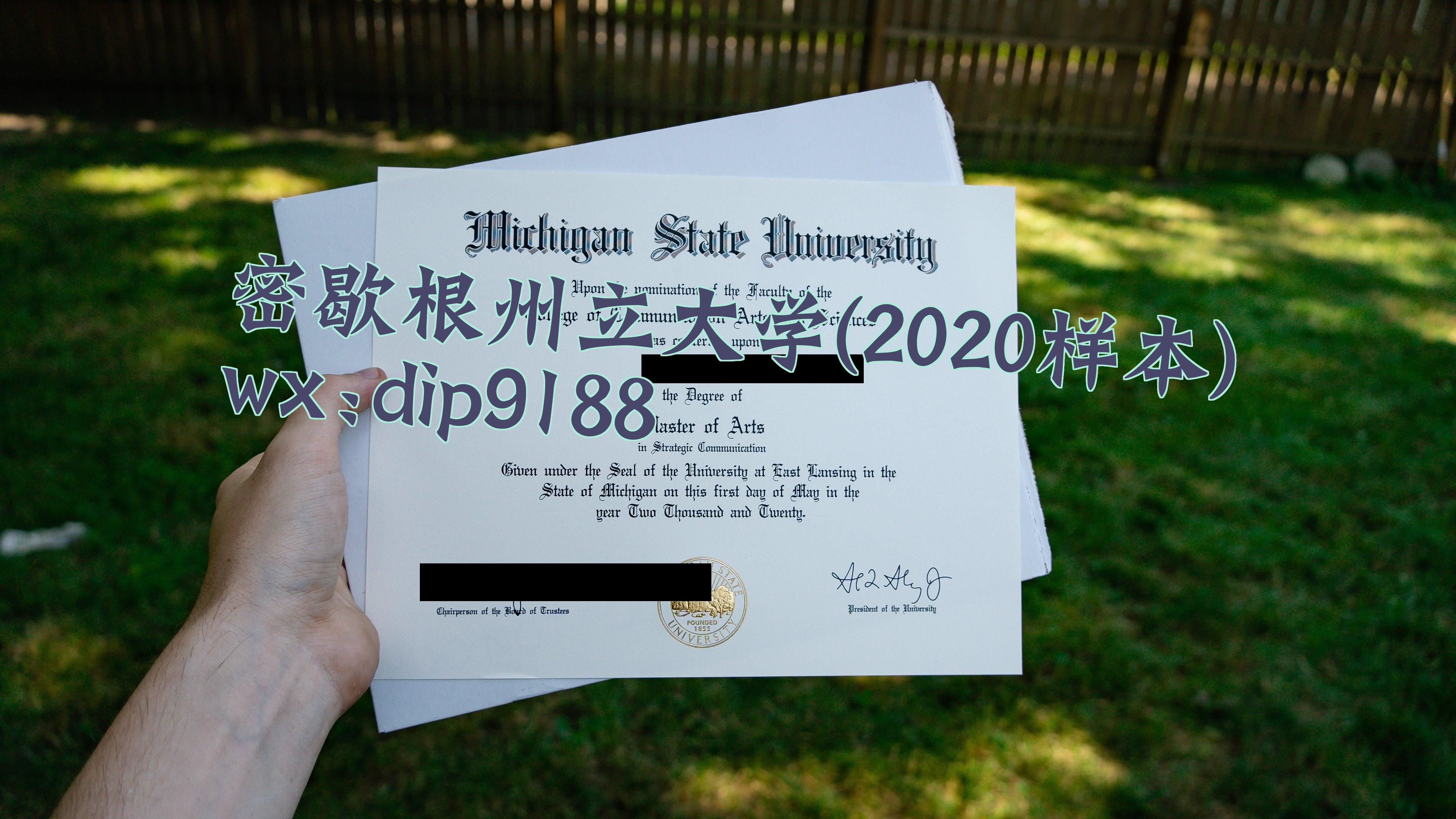 密歇根州立大学学历2020毕业证样本图