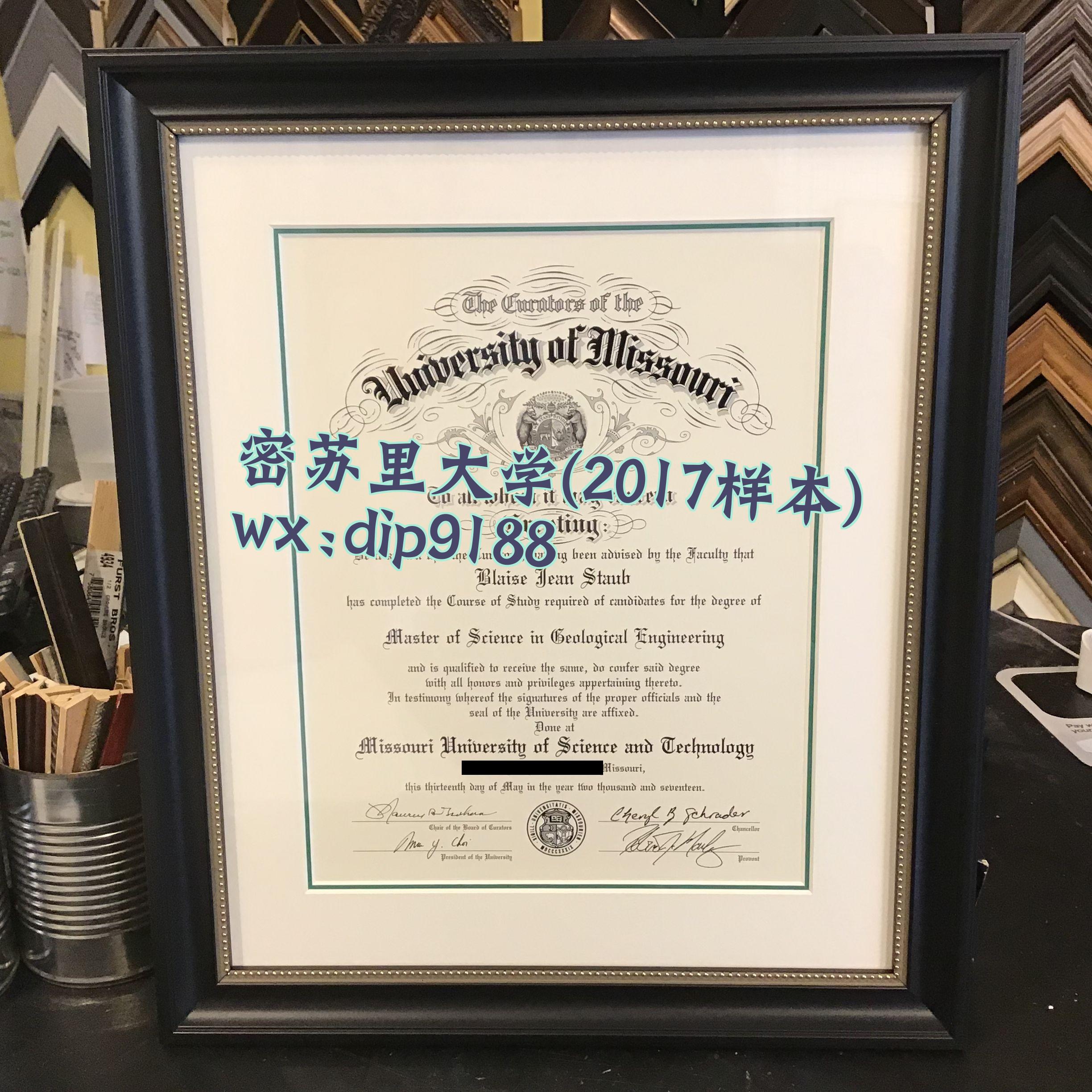 密苏里大学学历2017毕业证样本图