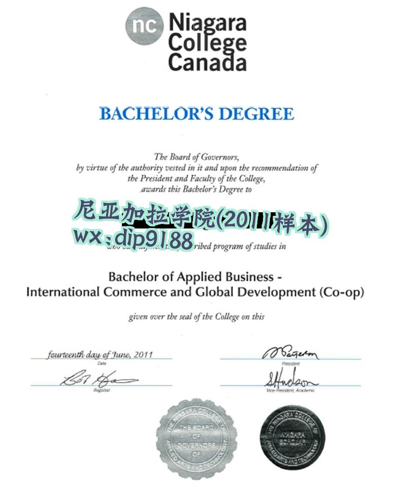 尼亚加拉学院学历2011毕业证样本图