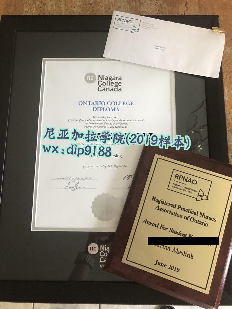 尼亚加拉学院学历2019毕业证样本图