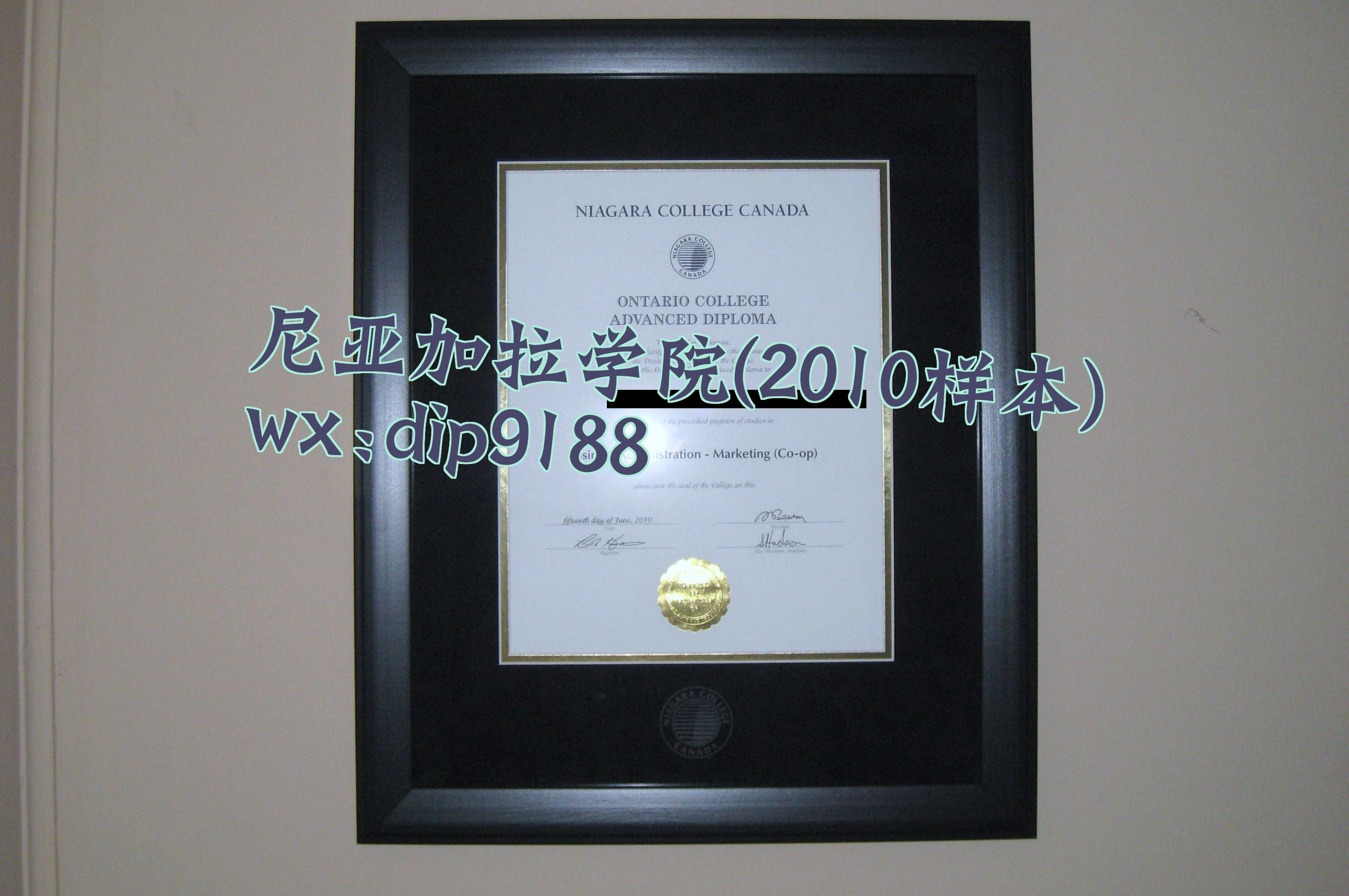 尼亚加拉学院学历2010毕业证样本图