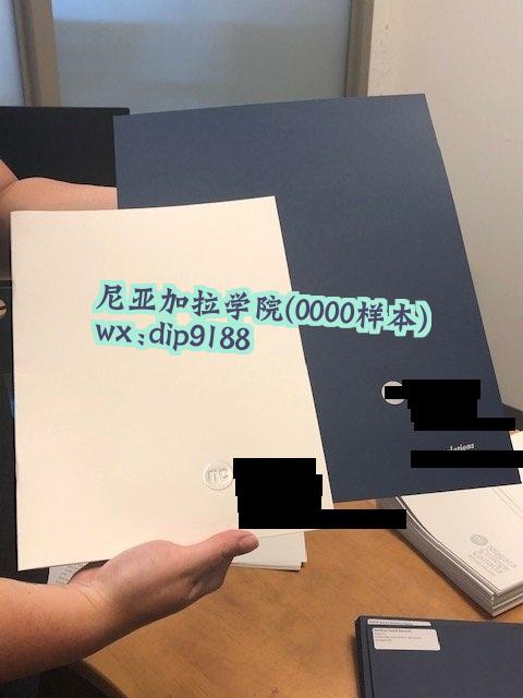 尼亚加拉学院学历0000毕业证样本图