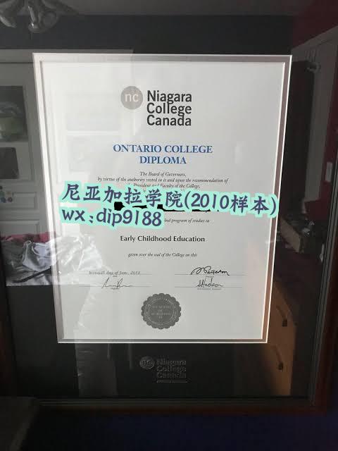 尼亚加拉学院学历2010毕业证样本图