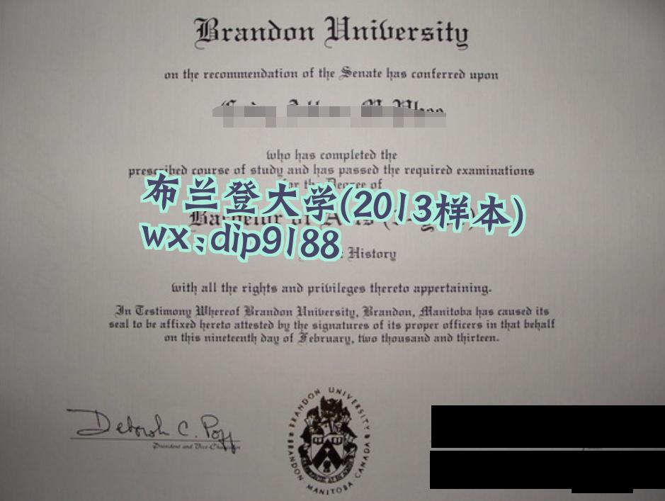 布兰登大学学历2013毕业证样本图