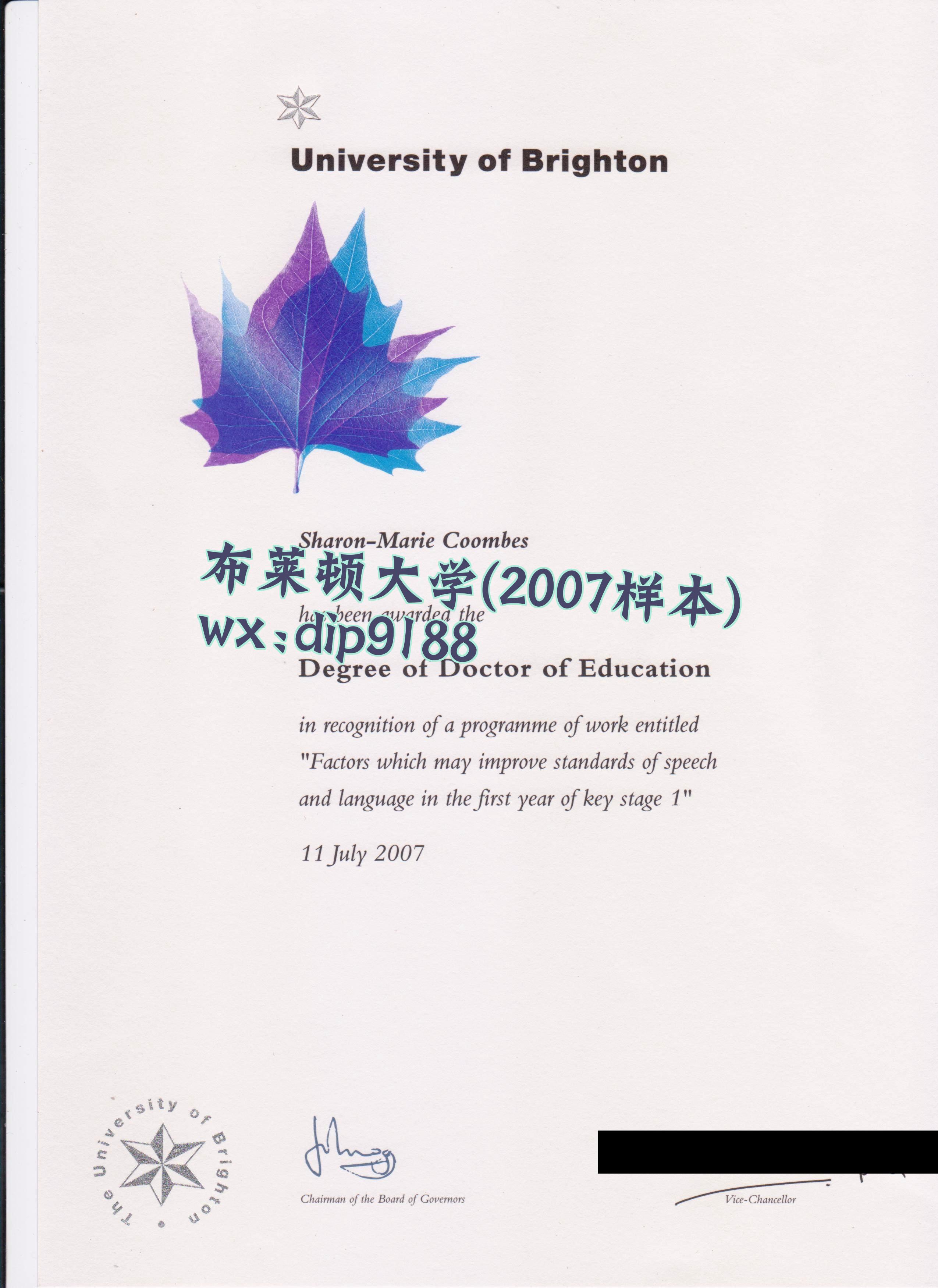 布莱顿大学学历2007毕业证样本图