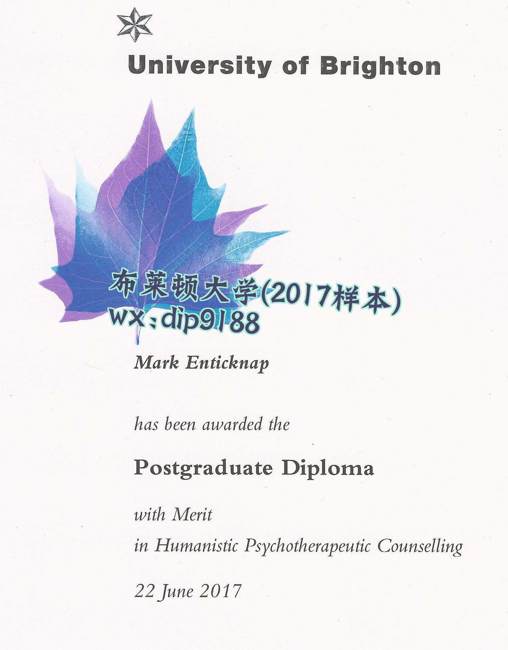 布莱顿大学学历2017毕业证样本图