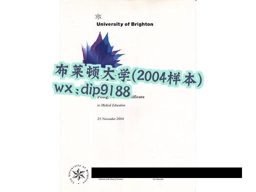 布莱顿大学学历2004毕业证样本图