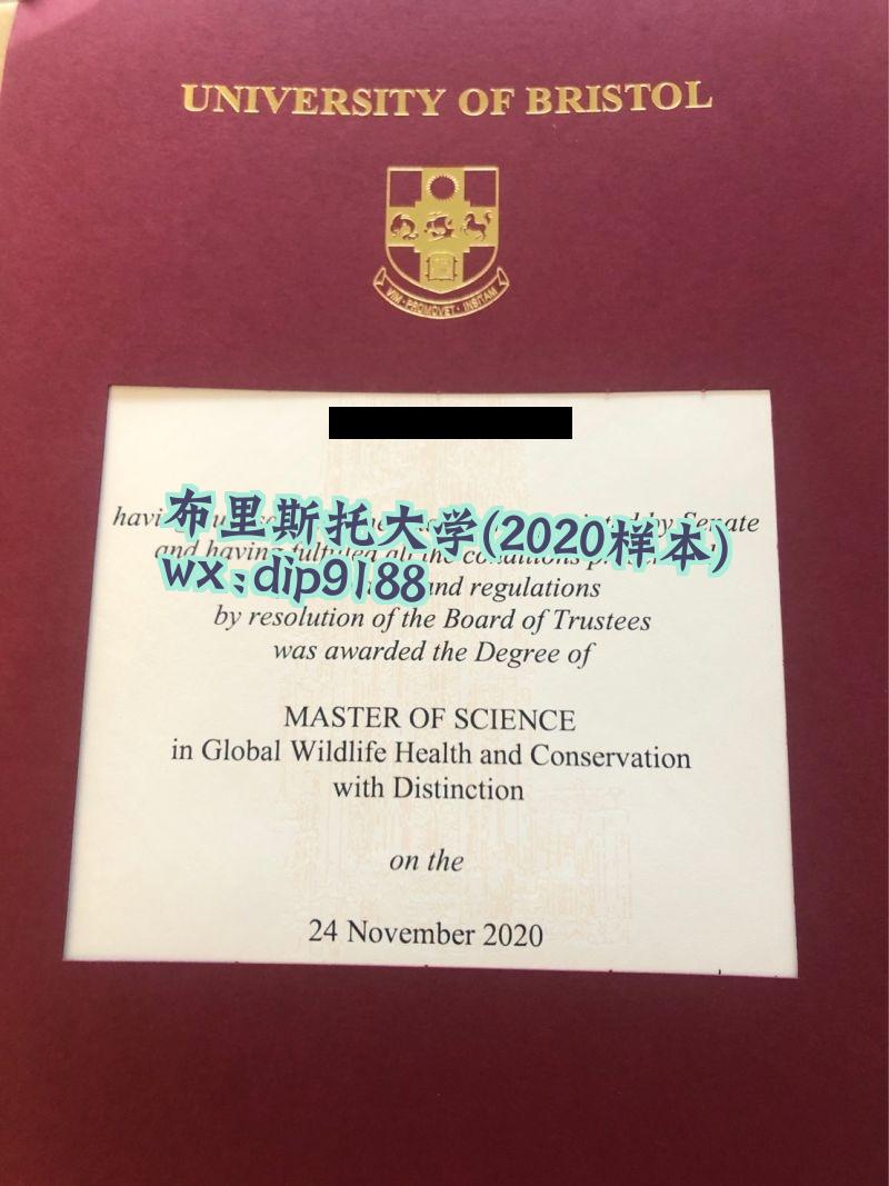 布里斯托大学学历2020毕业证样本图