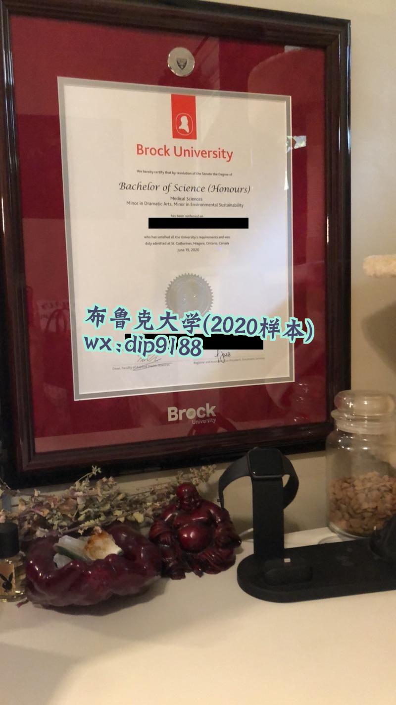 布鲁克大学学历2020毕业证样本图