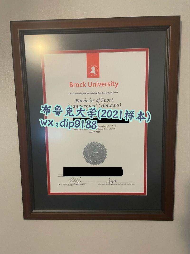 布鲁克大学学历2021毕业证样本图