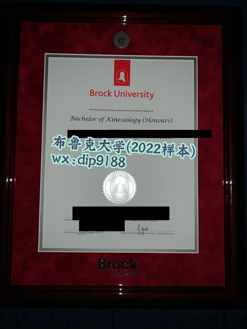 布鲁克大学学历2022毕业证样本图