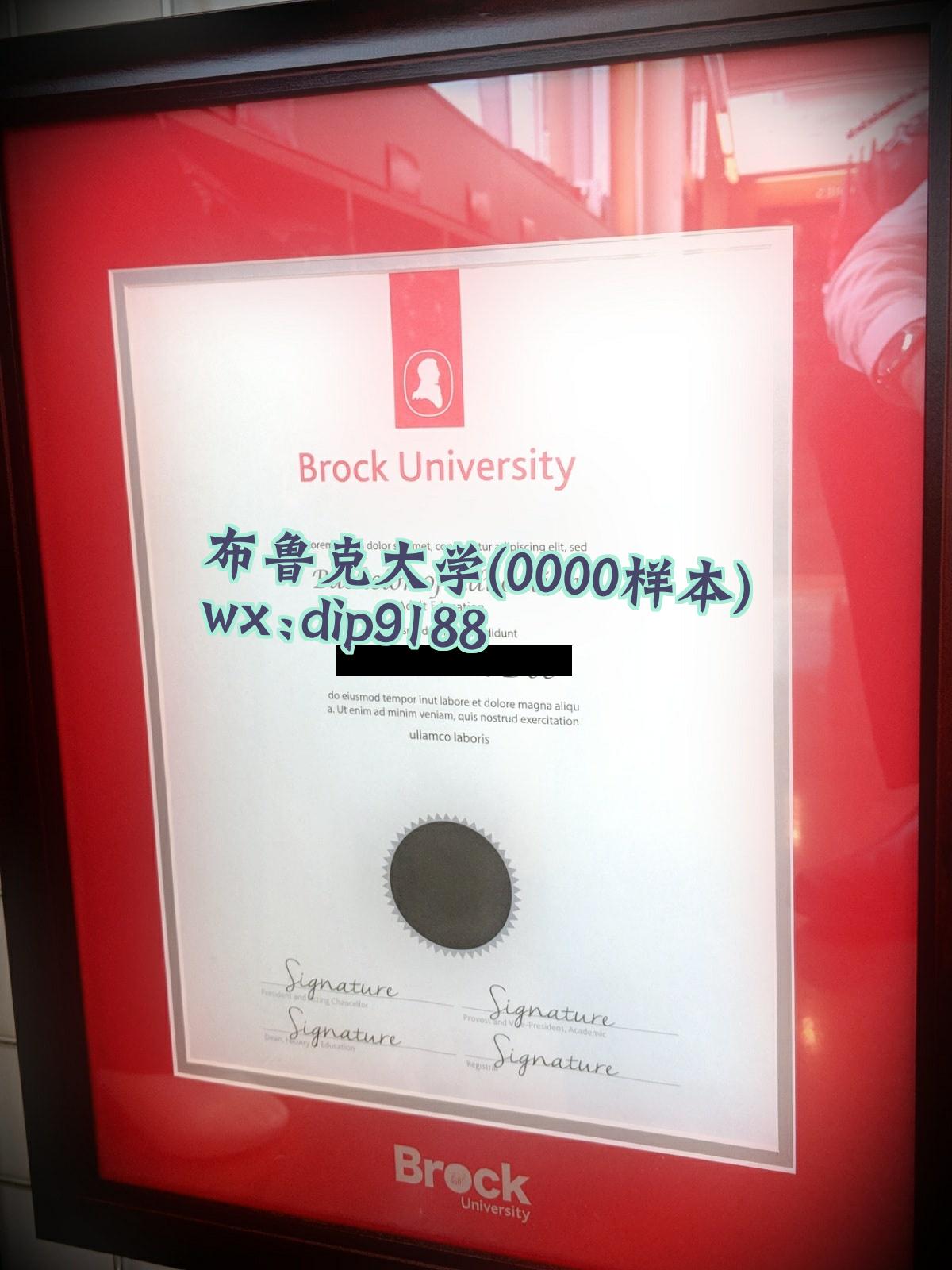 布鲁克大学学历0000毕业证样本图