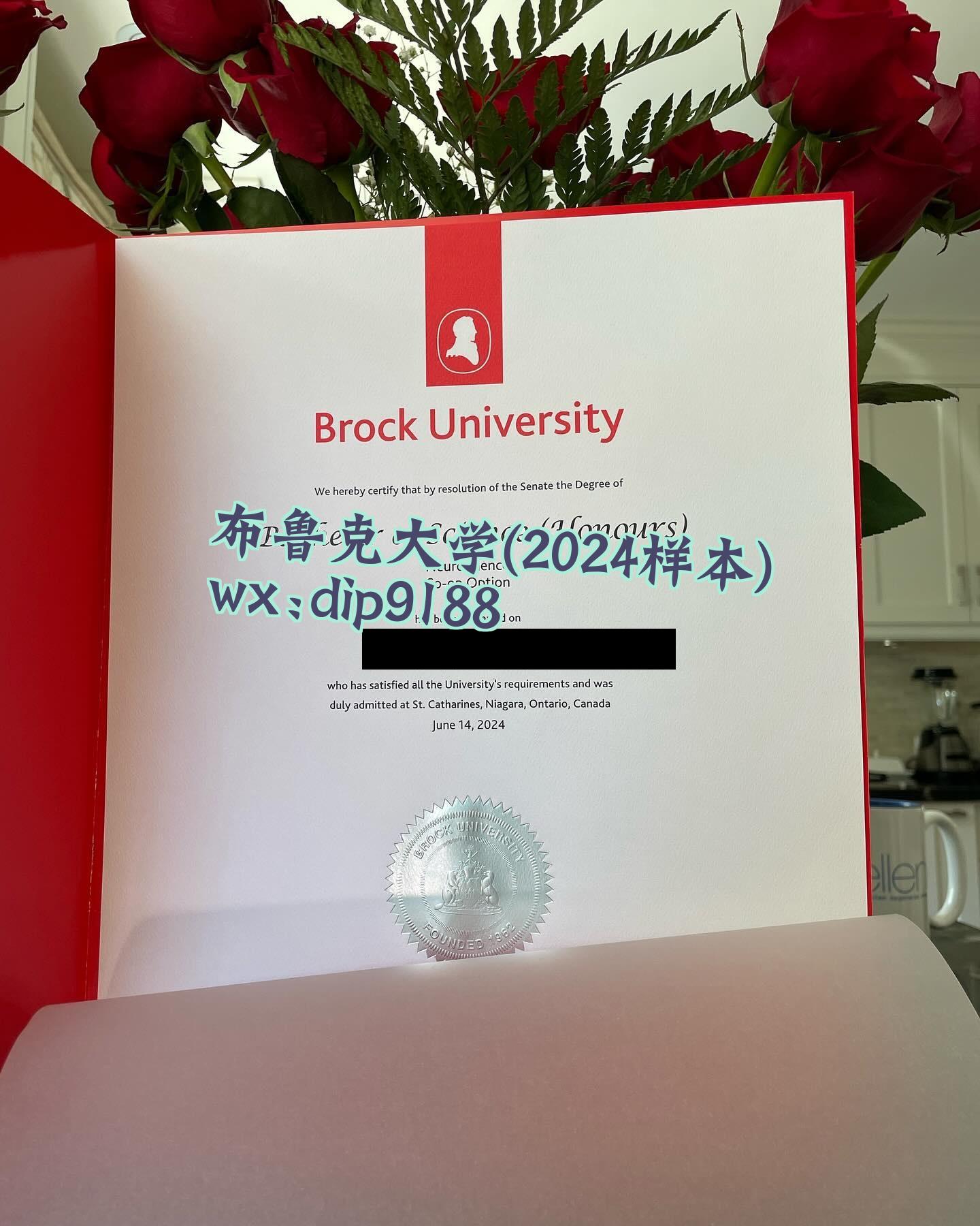 布鲁克大学学历2024毕业证样本图
