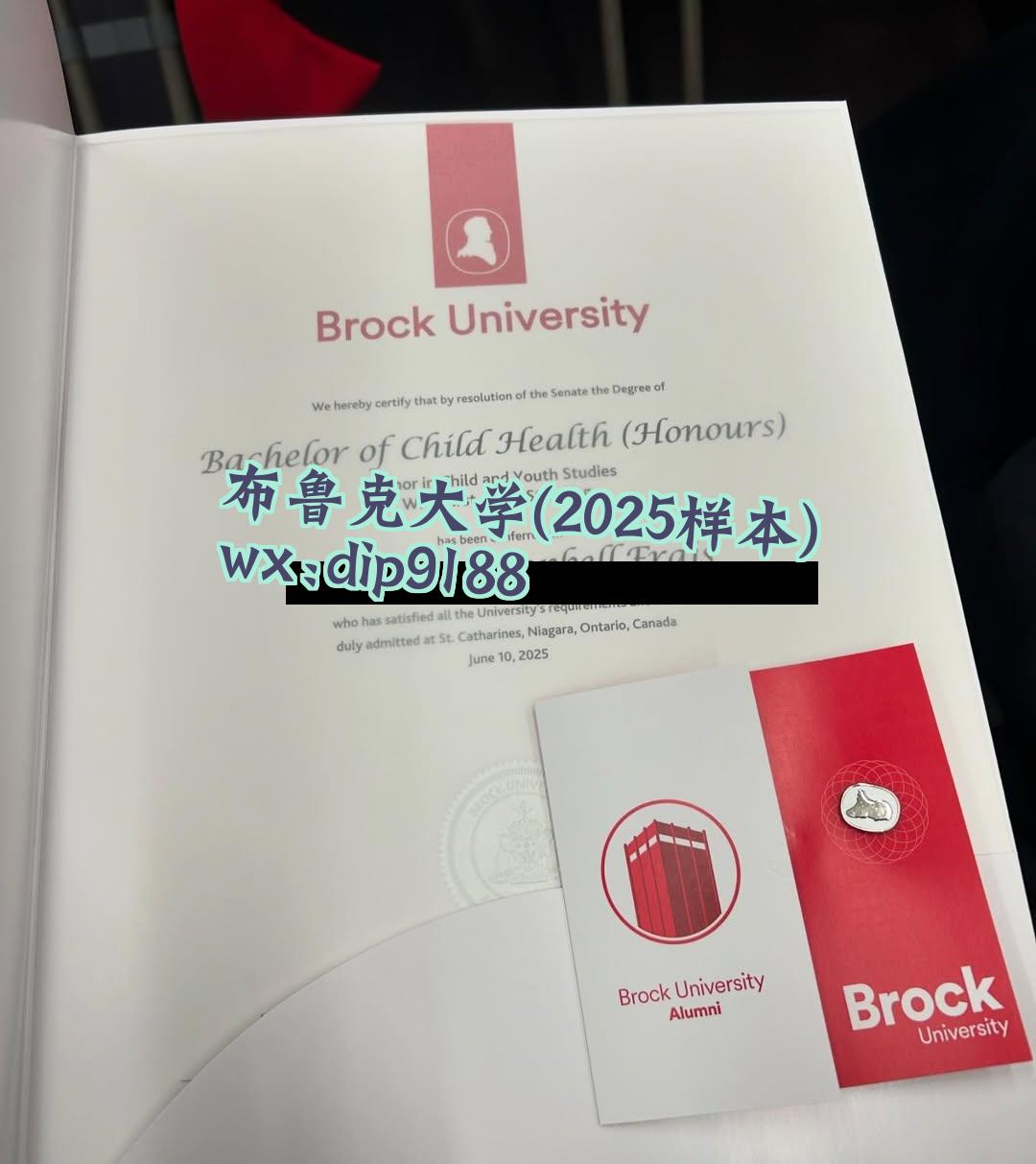 布鲁克大学学历2025毕业证样本图