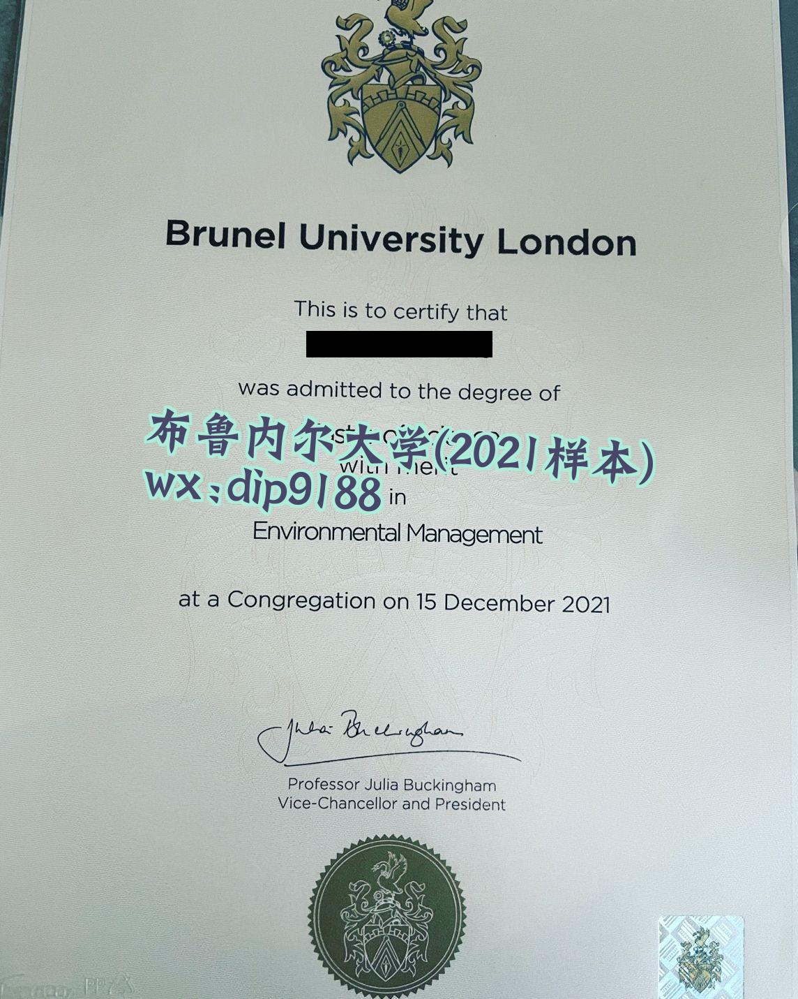 布鲁内尔大学学历2021毕业证样本图