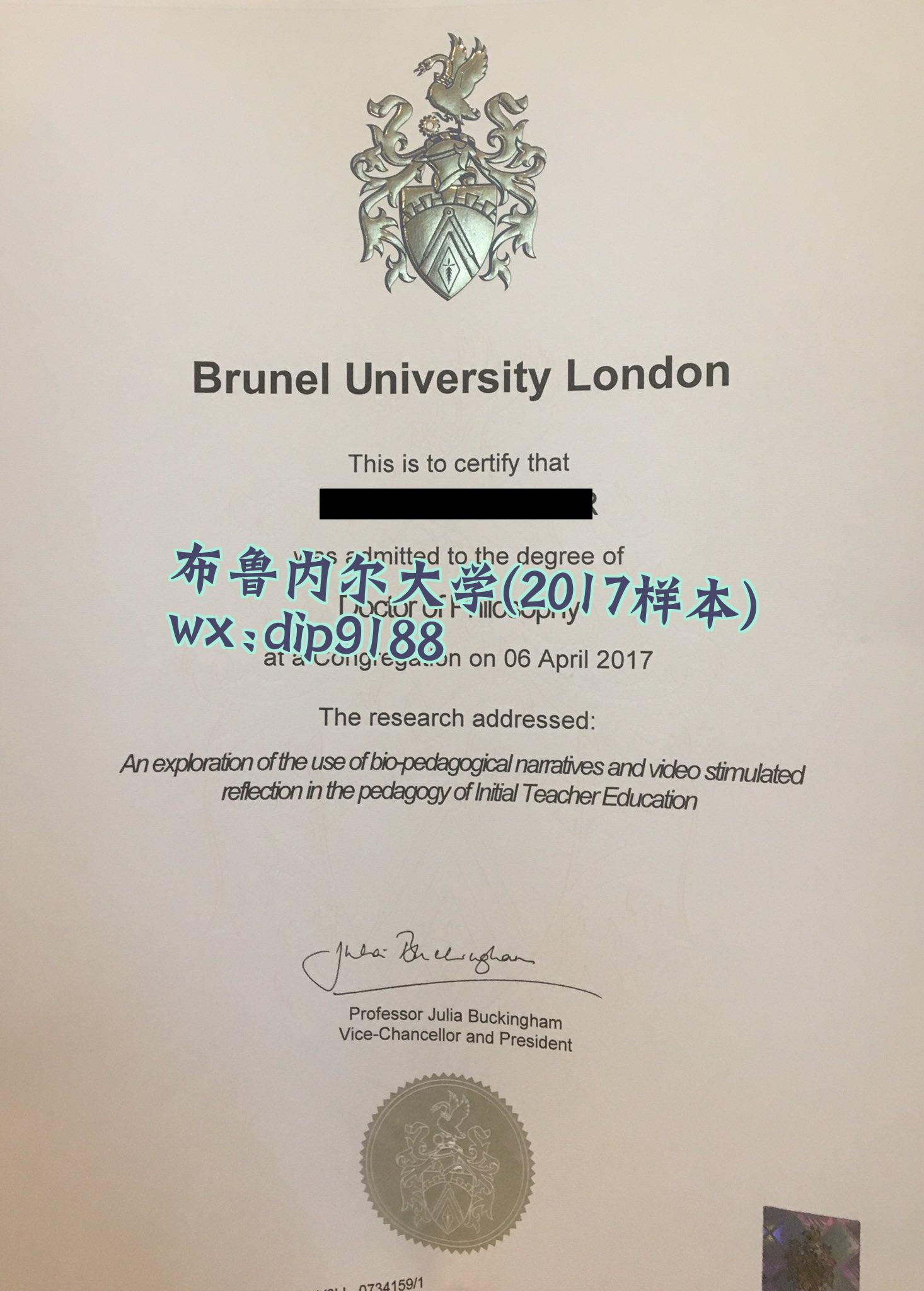 布鲁内尔大学学历2017毕业证样本图