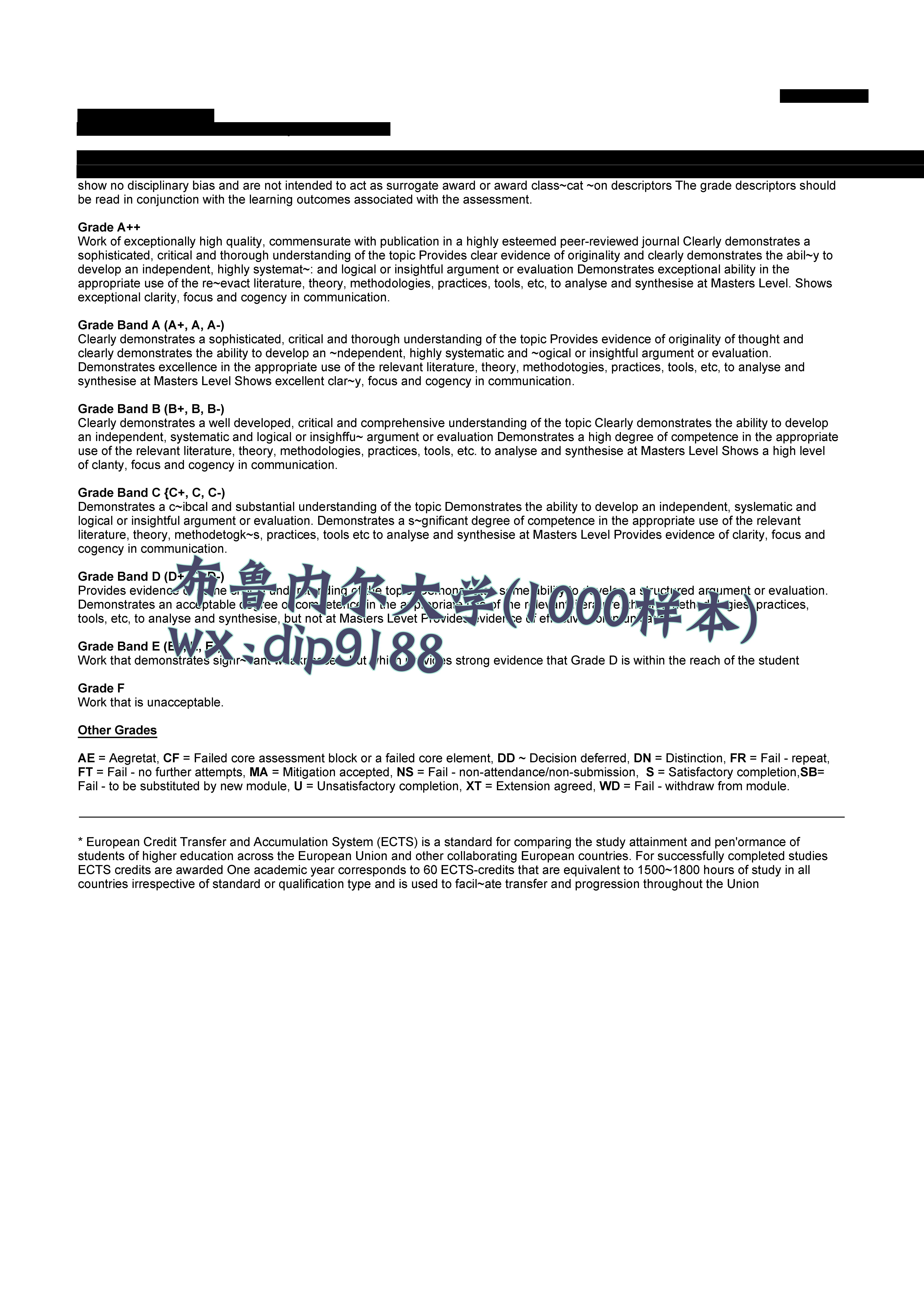 布鲁内尔大学学历1000毕业证样本图