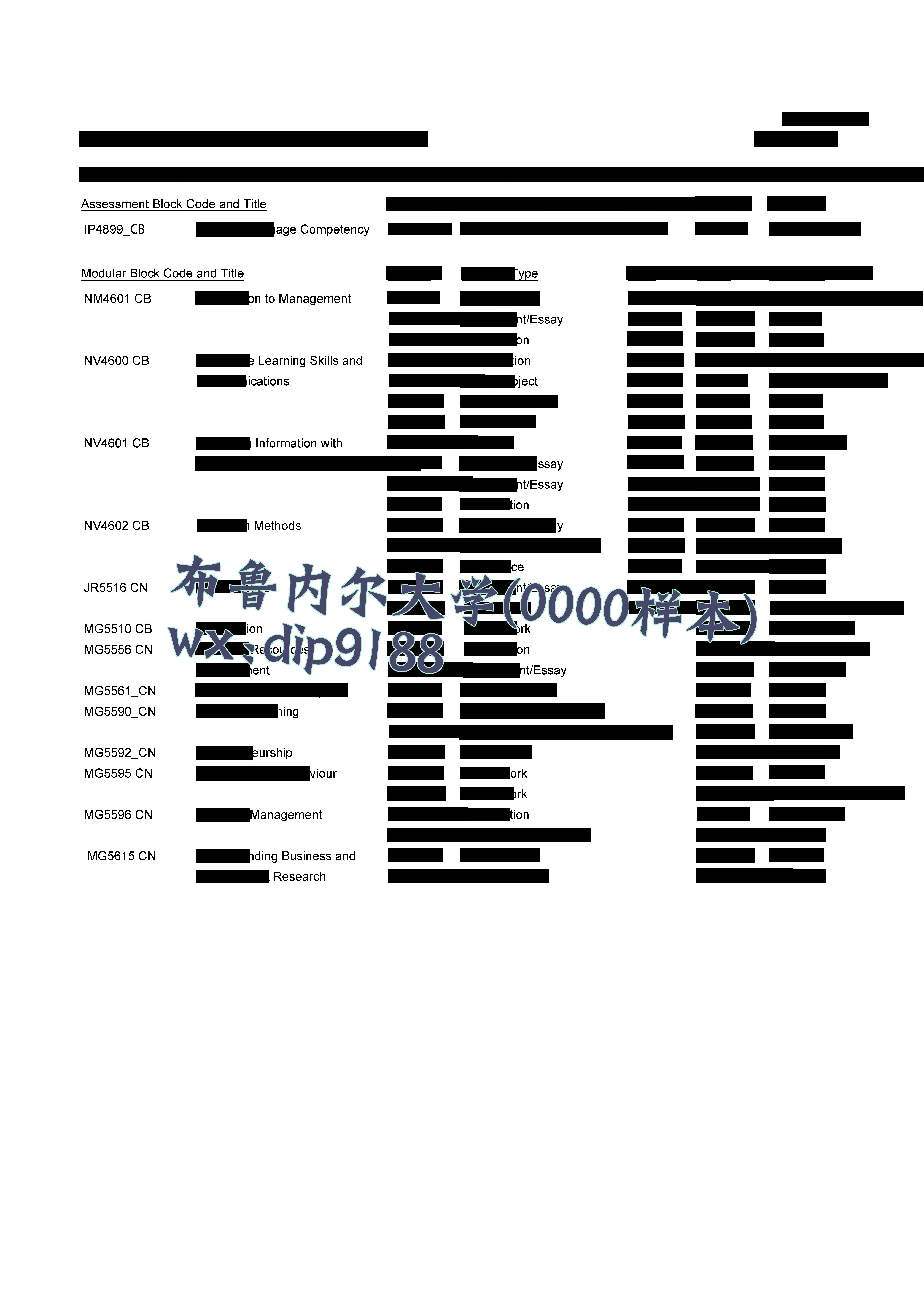 布鲁内尔大学学历0000毕业证样本图