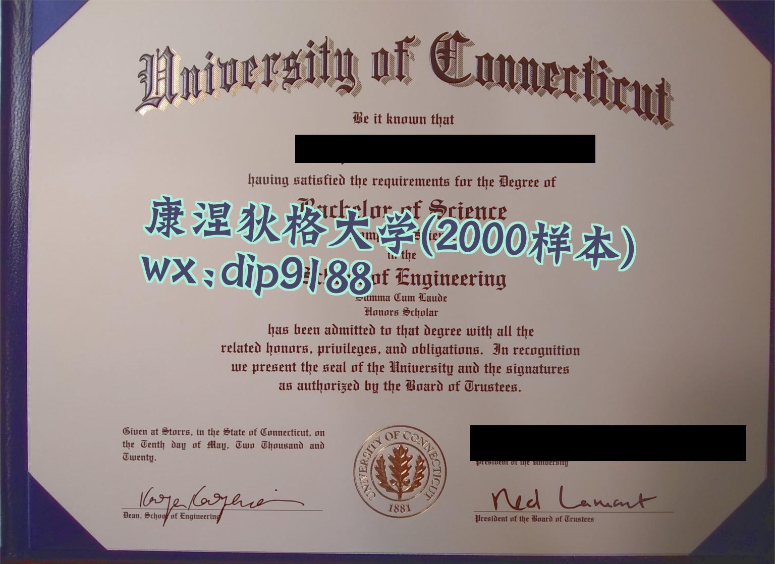 康涅狄格大学学历2000毕业证样本图