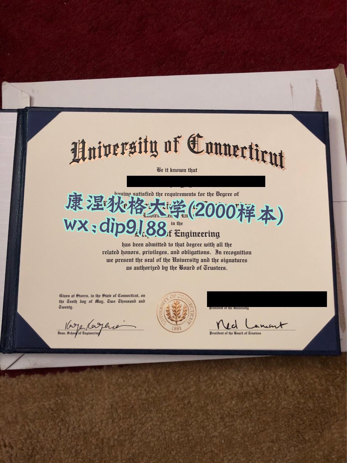 康涅狄格大学学历2000毕业证样本图