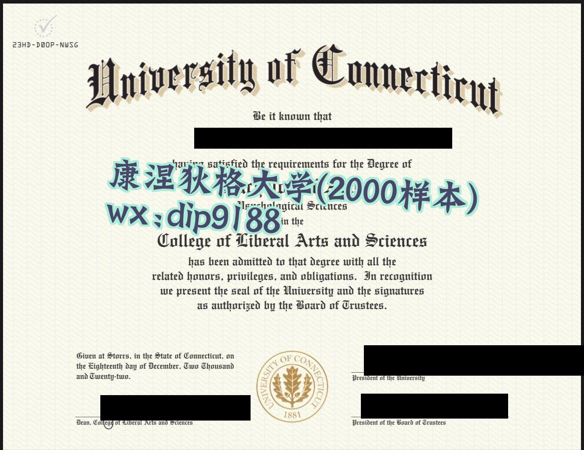 康涅狄格大学学历2000毕业证样本图