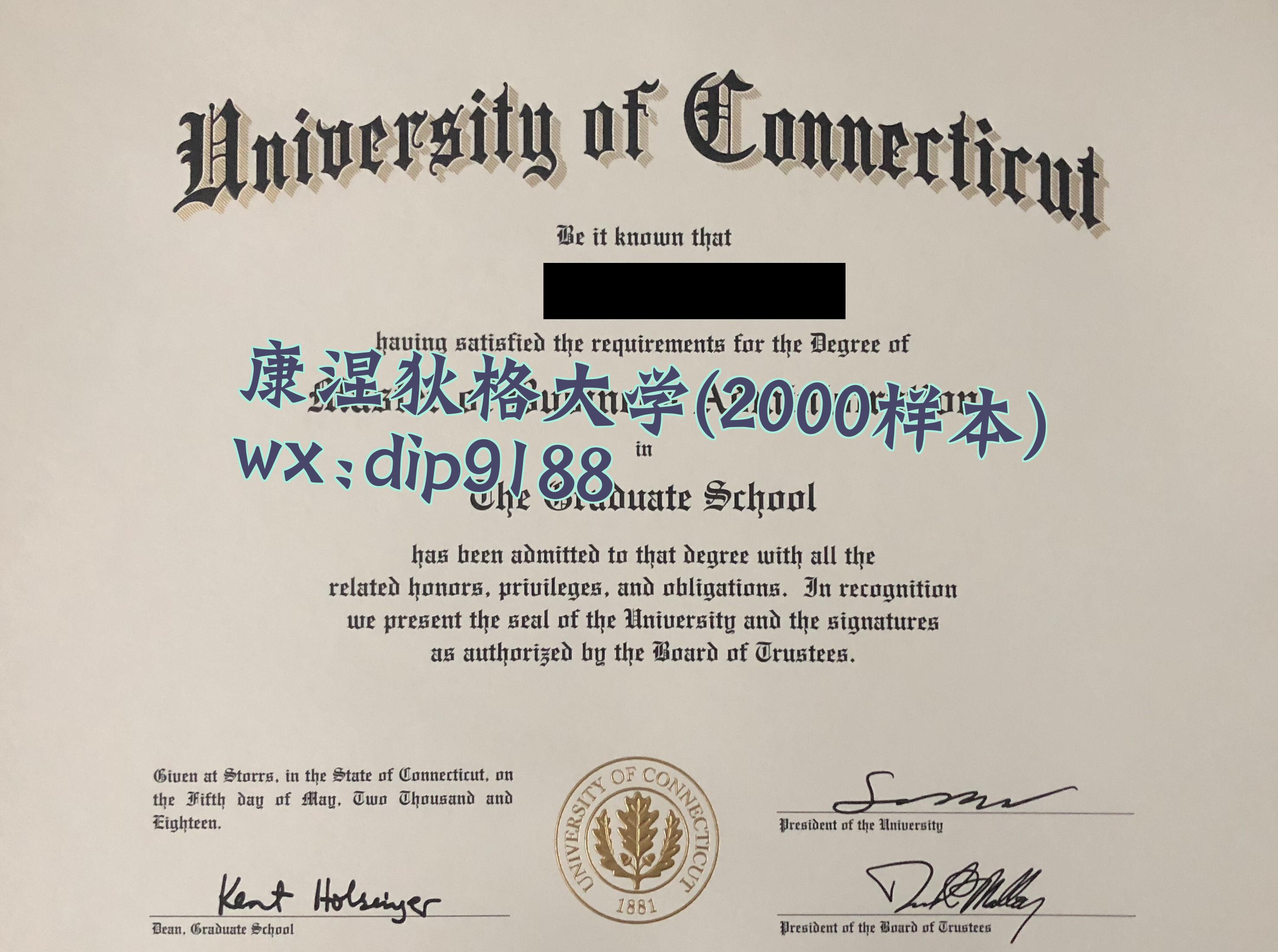 康涅狄格大学学历2000毕业证样本图