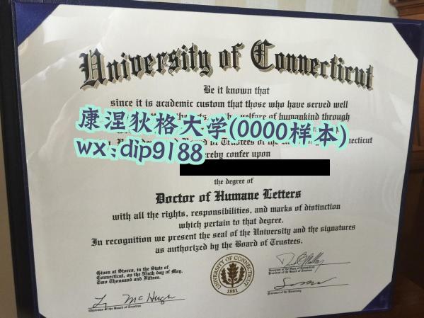 康涅狄格大学学历0000毕业证样本图