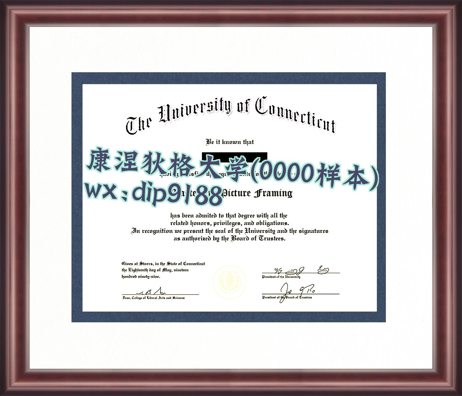 康涅狄格大学学历0000毕业证样本图
