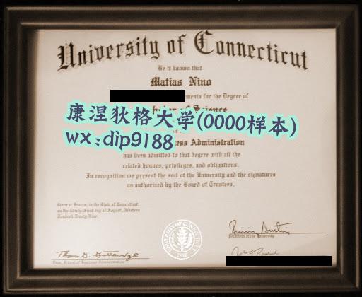 康涅狄格大学学历0000毕业证样本图