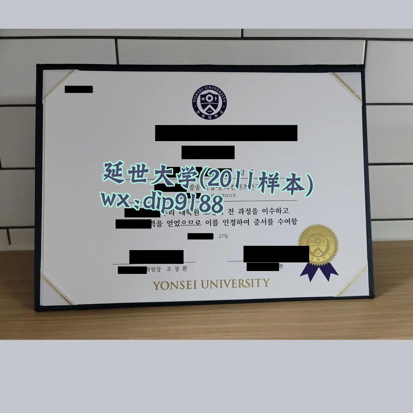 延世大学学历2011毕业证样本图