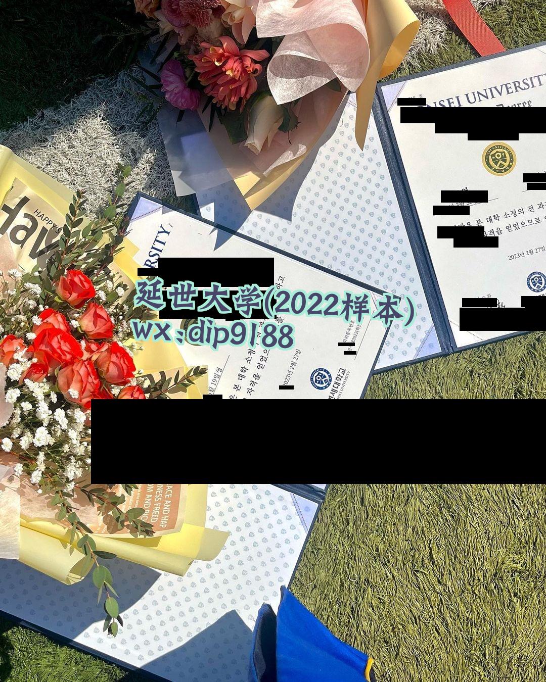 延世大学学历2022毕业证样本图