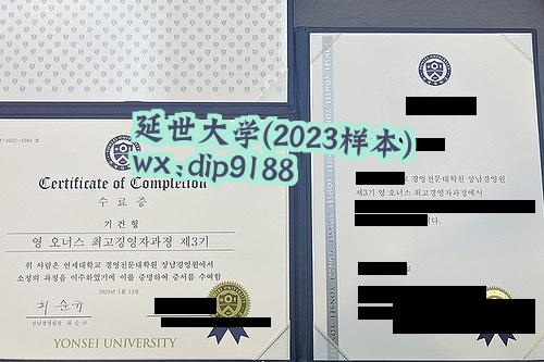 延世大学学历2023毕业证样本图