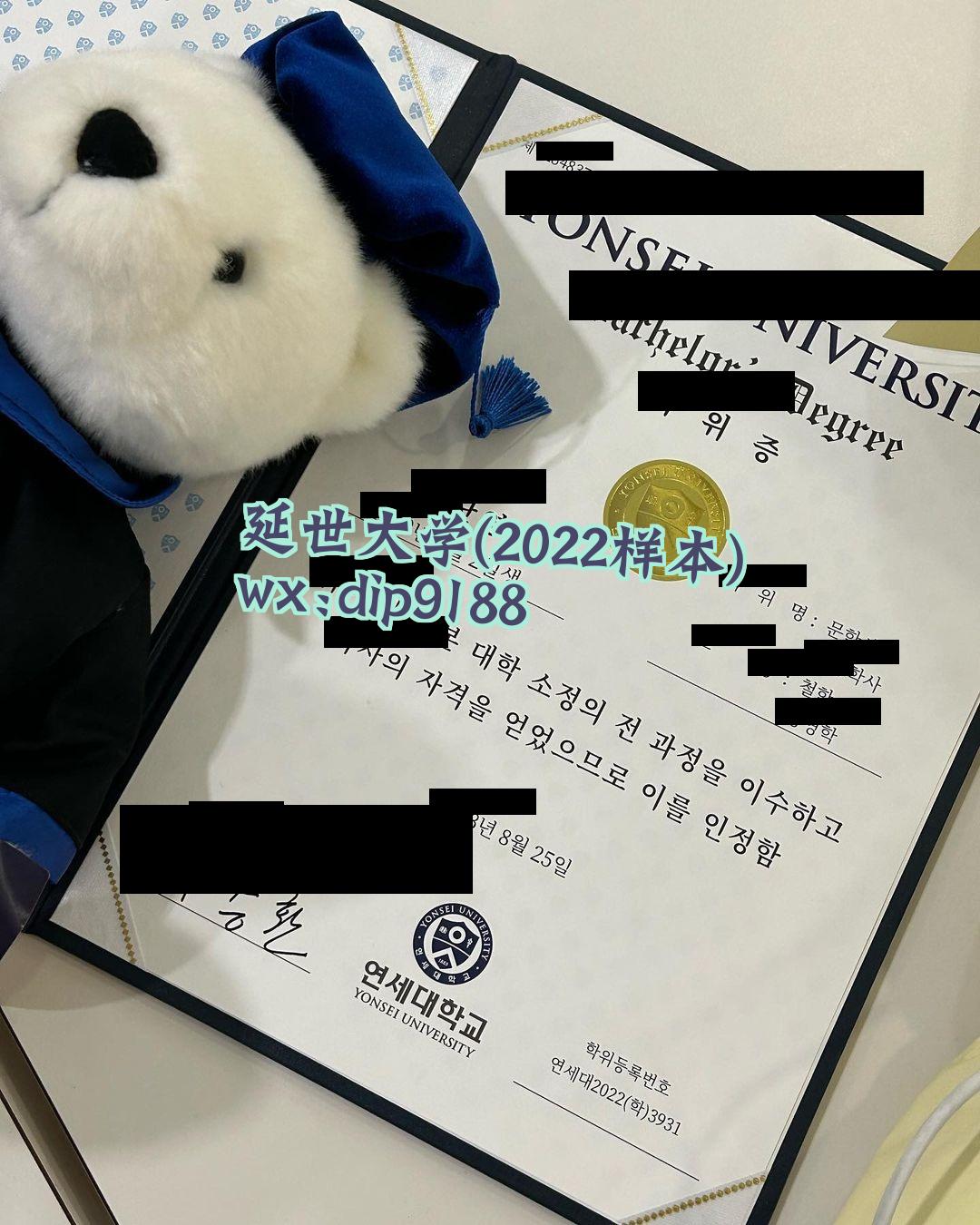 延世大学学历2022毕业证样本图