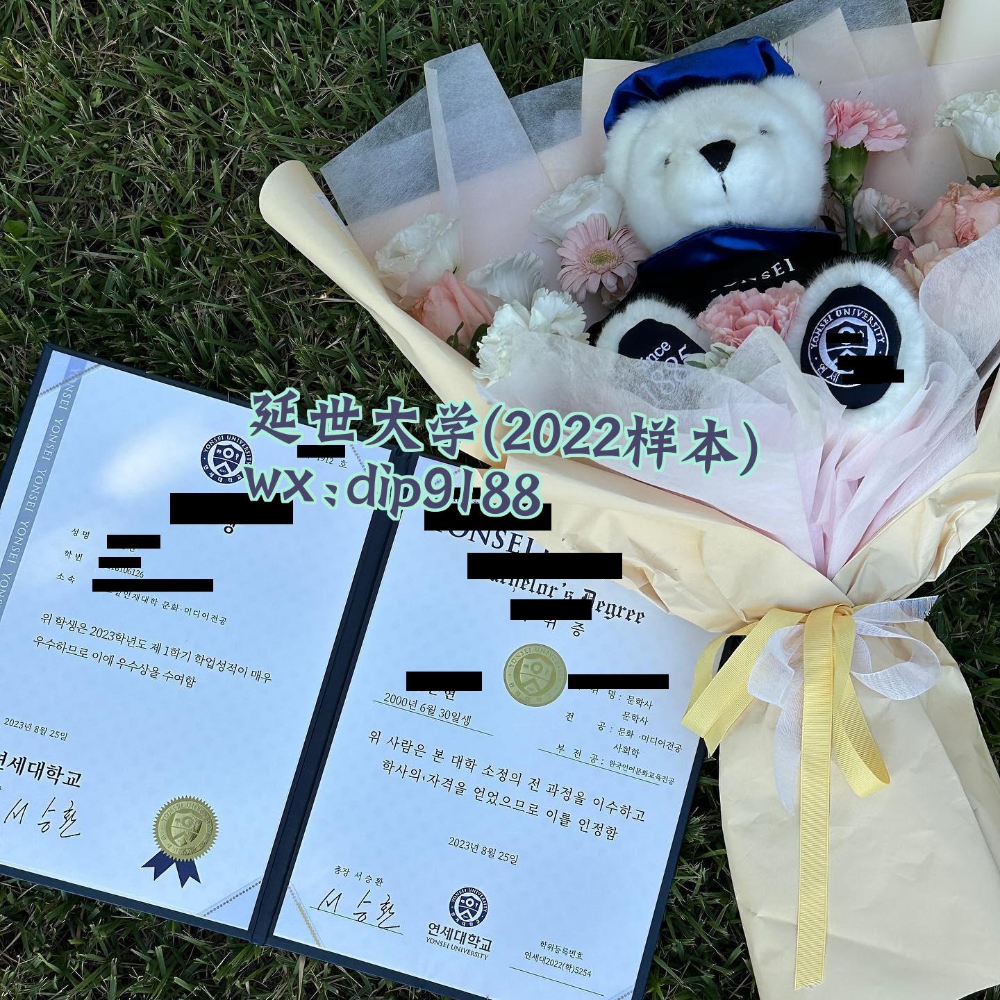 延世大学学历2022毕业证样本图