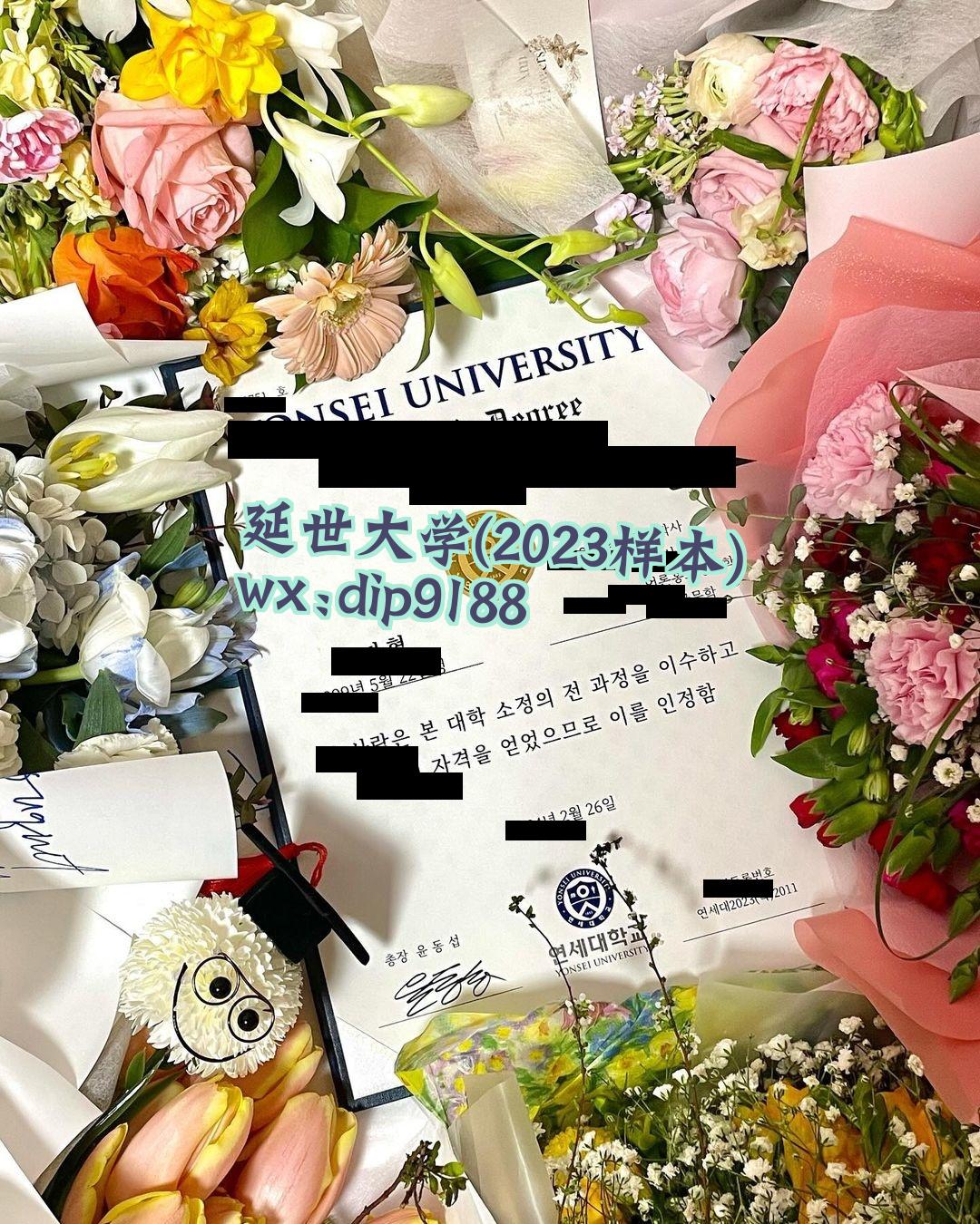 延世大学学历2023毕业证样本图