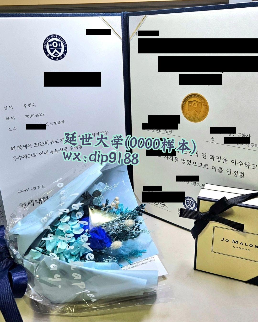 延世大学学历0000毕业证样本图