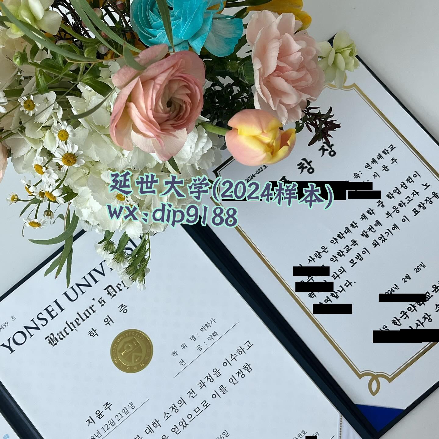 延世大学学历2024毕业证样本图