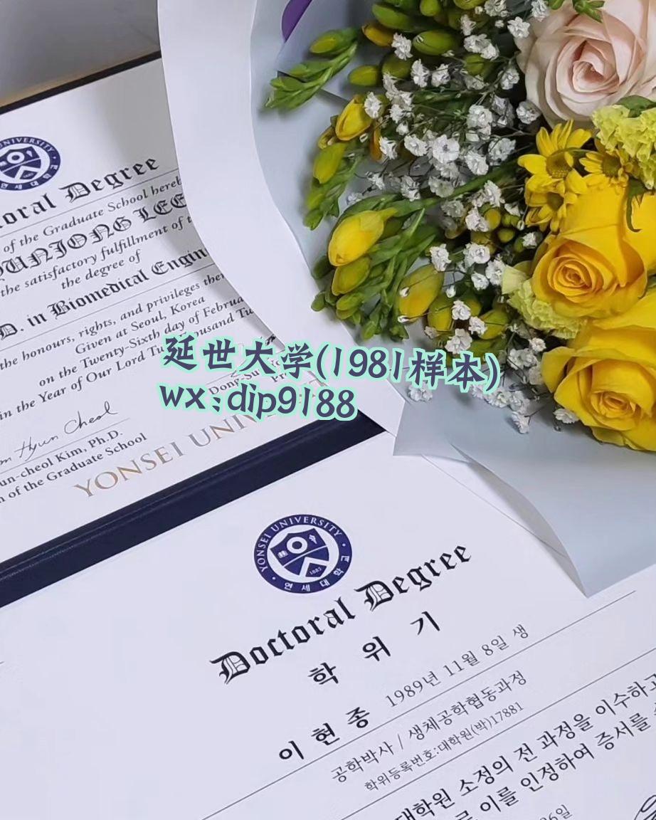 延世大学学历1981毕业证样本图