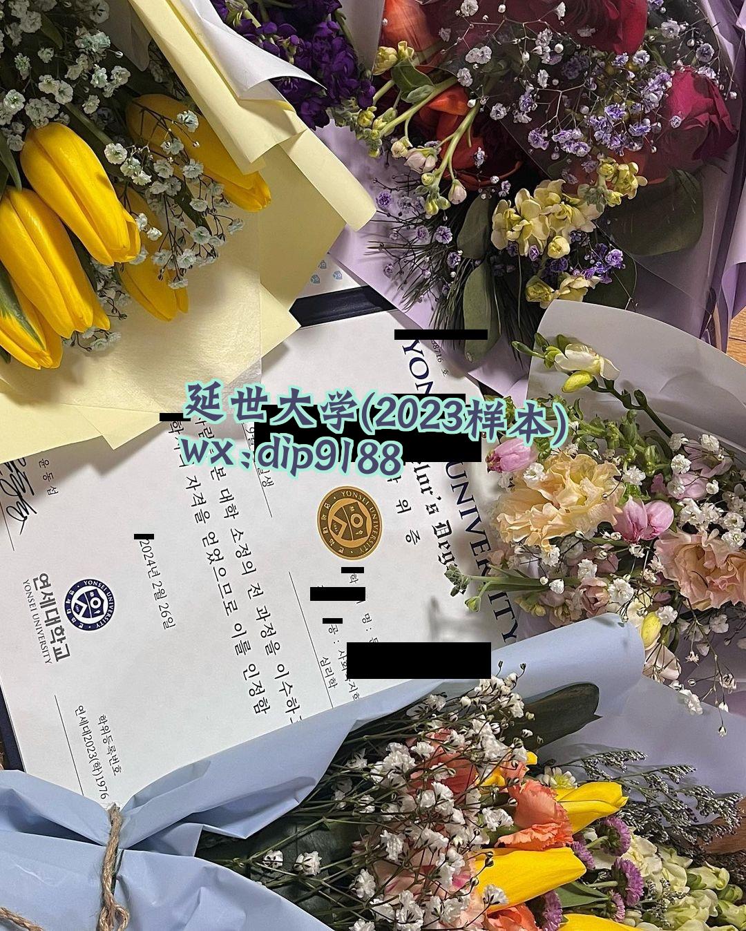 延世大学学历2023毕业证样本图