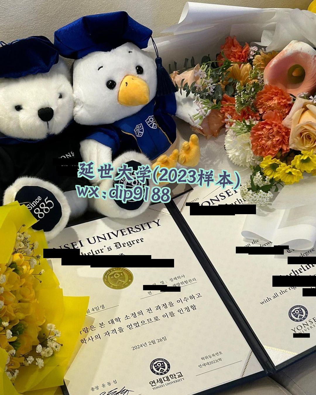 延世大学学历2023毕业证样本图