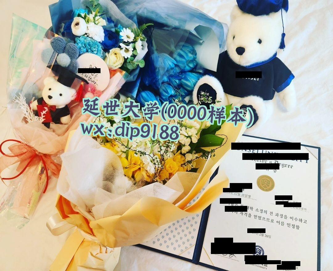 延世大学学历0000毕业证样本图