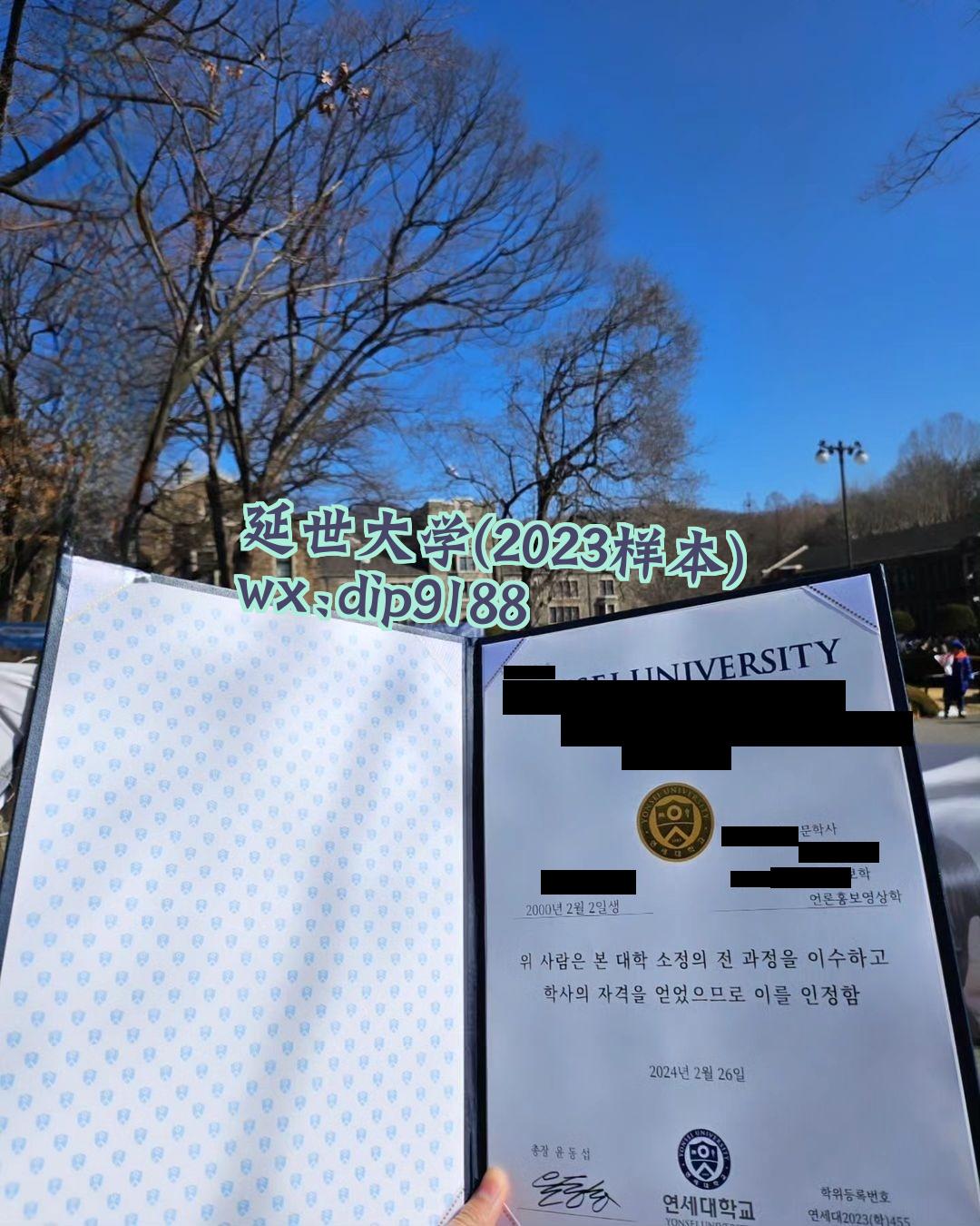 延世大学学历2023毕业证样本图