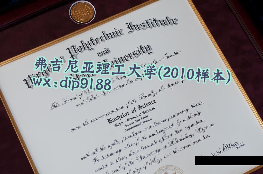 弗吉尼亚理工大学学历2010毕业证样本图