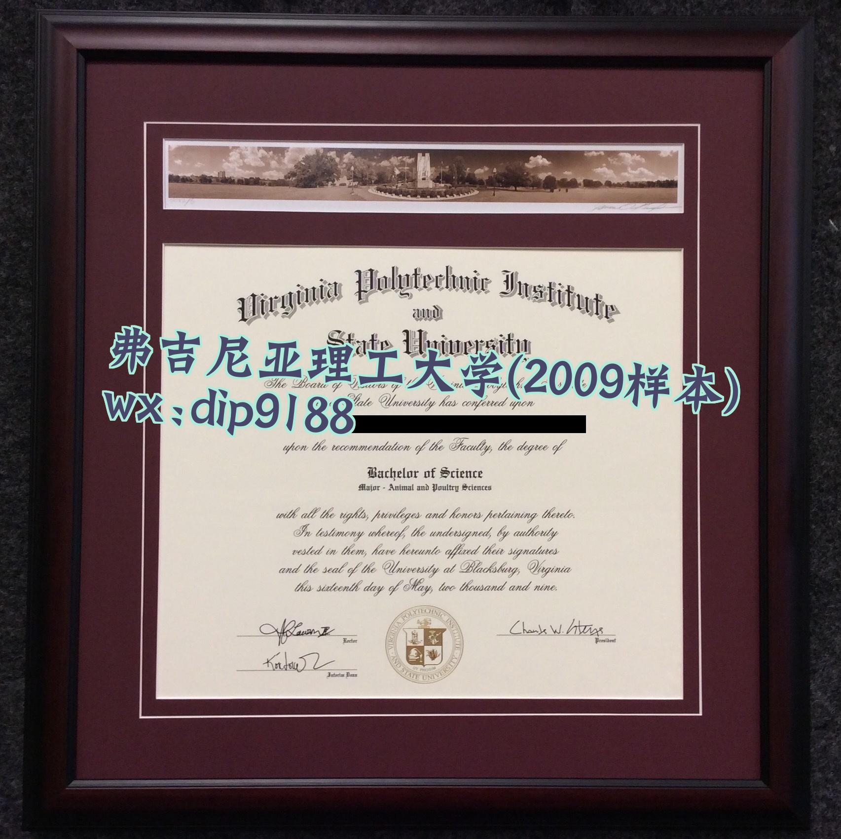 弗吉尼亚理工大学学历2009毕业证样本图