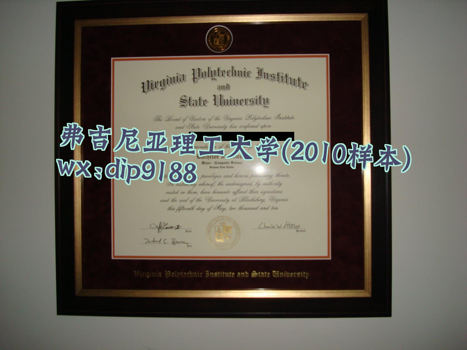 弗吉尼亚理工大学学历2010毕业证样本图