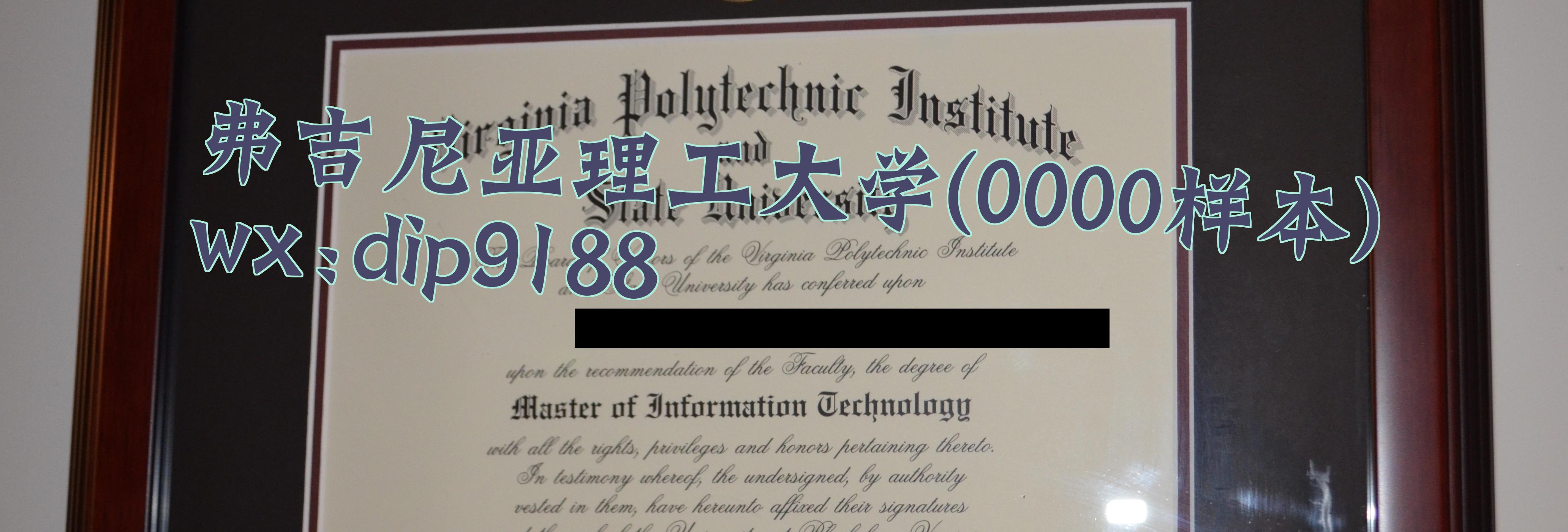 弗吉尼亚理工大学学历0000毕业证样本图
