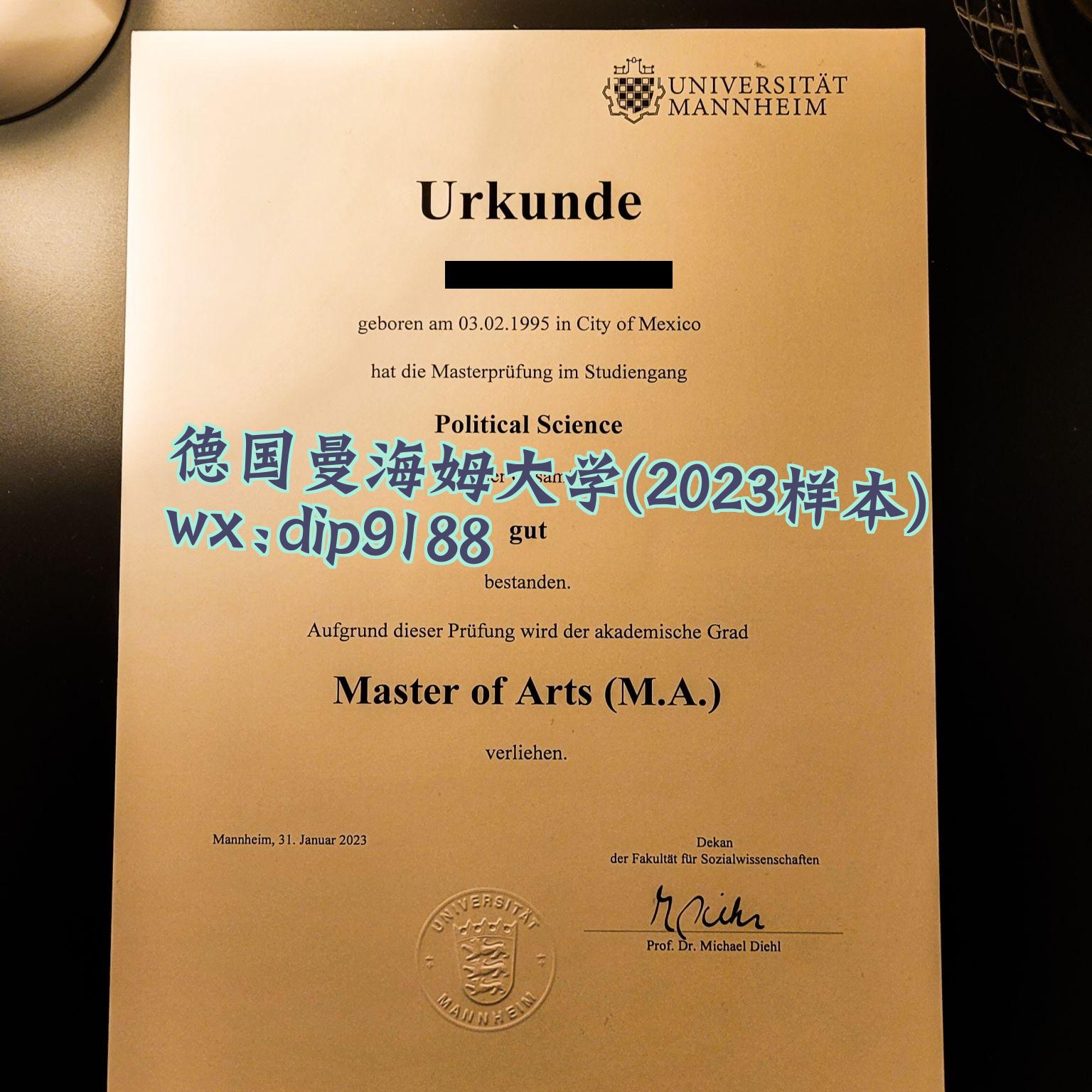 德国曼海姆大学学历2023毕业证样本图