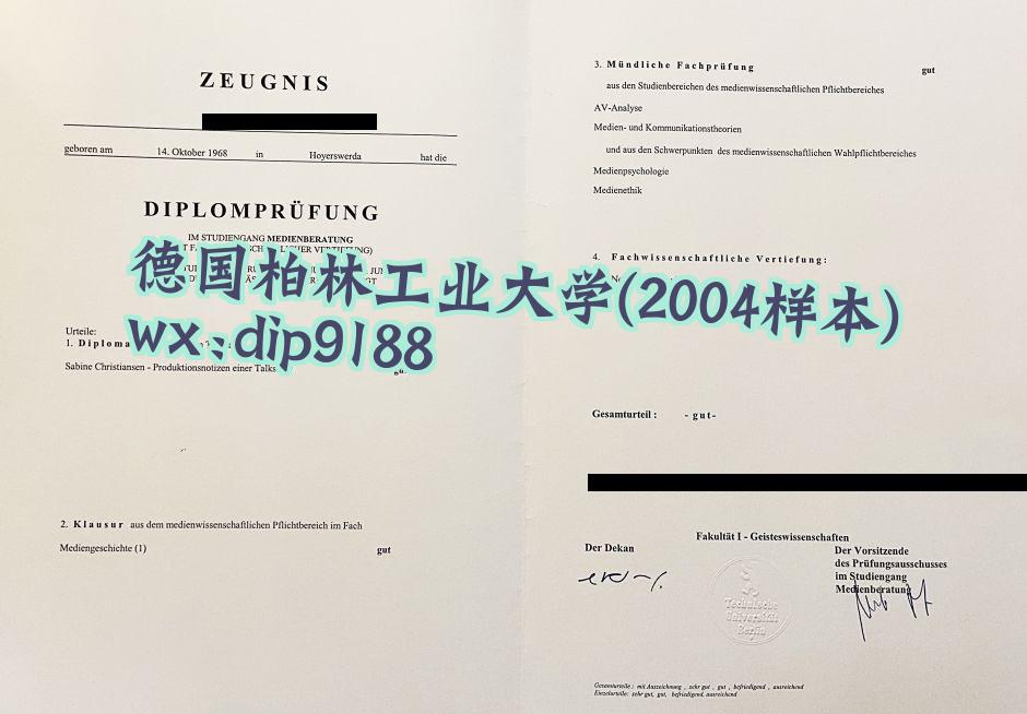 德国柏林工业大学学历2004毕业证样本图