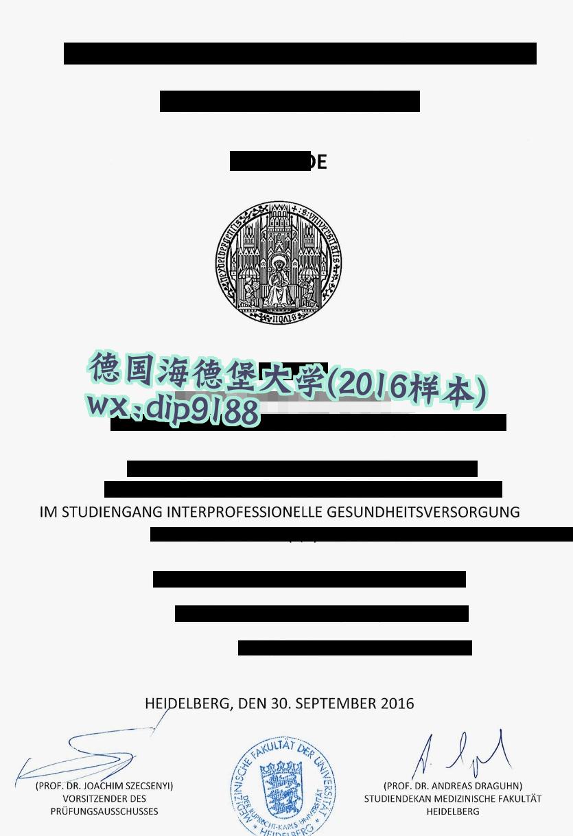 德国海德堡大学学历2016毕业证样本图