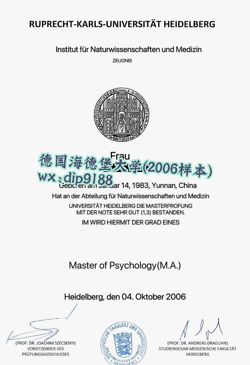 德国海德堡大学学历2006毕业证样本图